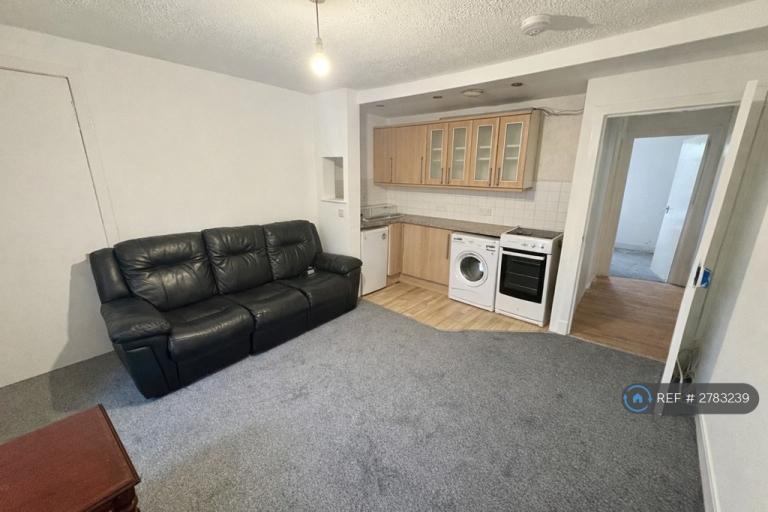1 bedroom flat in Rosefield Street, Dundee, DD1 (1 bed) (#2783239)