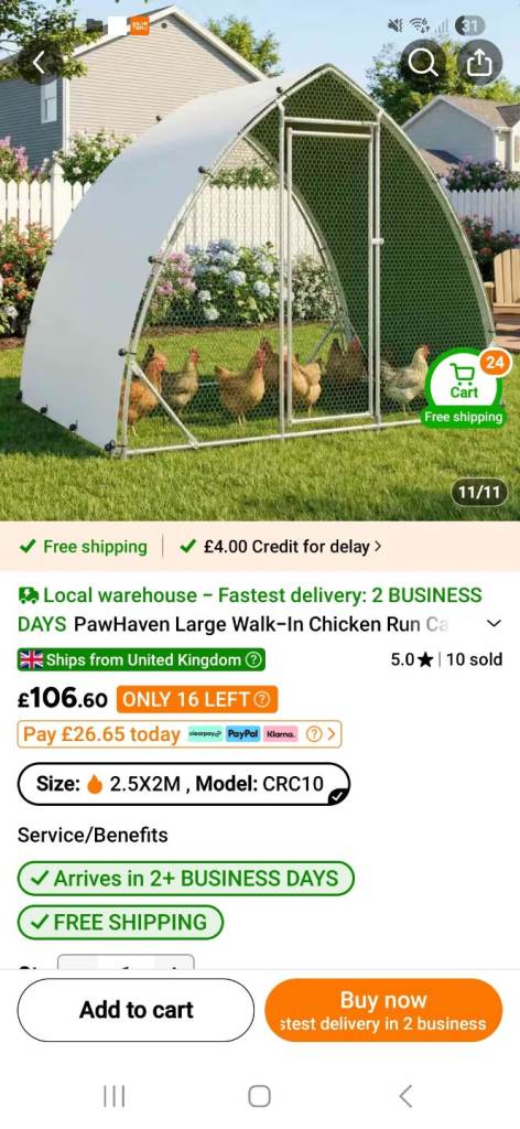 LARGE CHICKEN RUN 