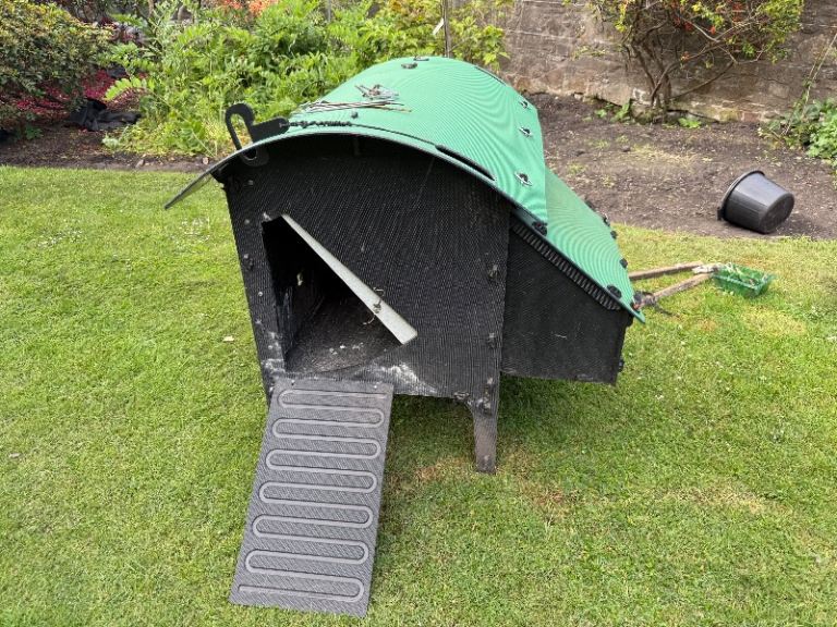 Green frog designs chicken coop