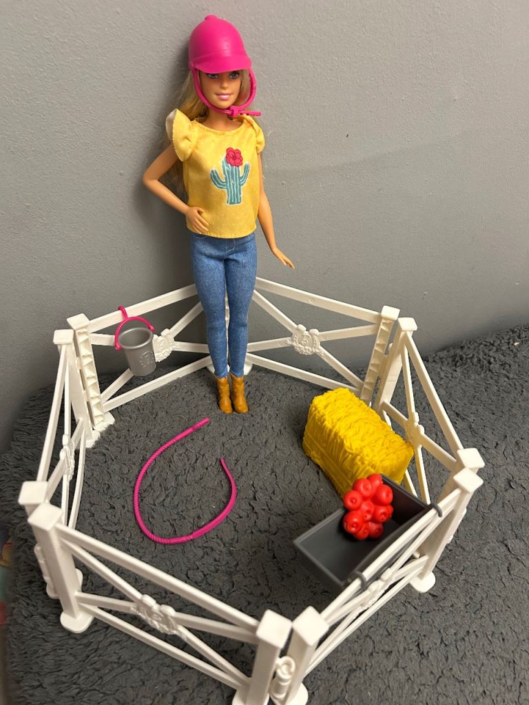 Barbie and horse accessories 