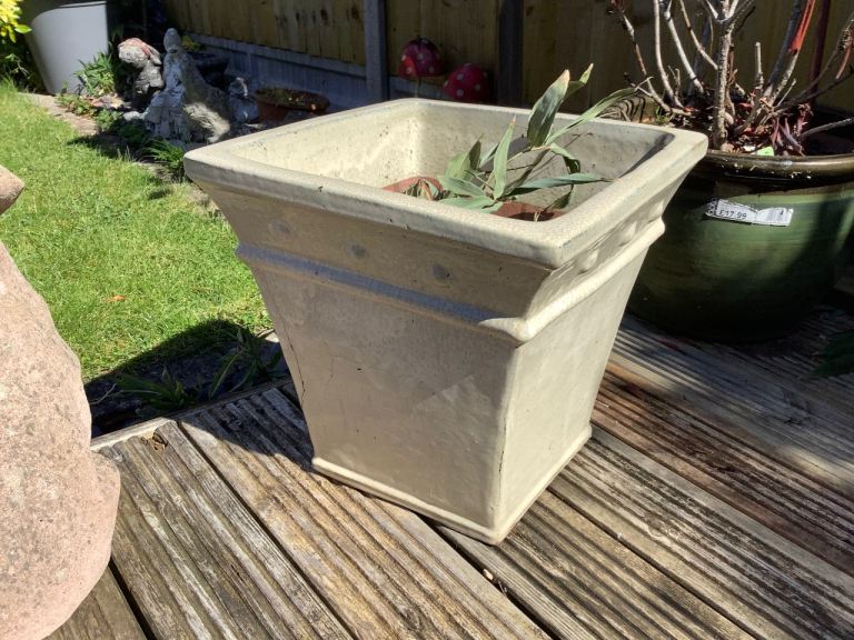 Cream glaze terracotta plant pot/ planter