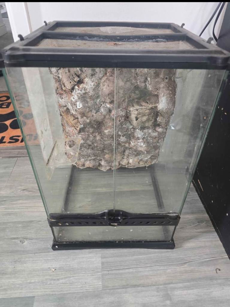 Reptile glass terrarium  exo terra 