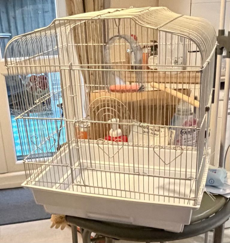 Small bird cage