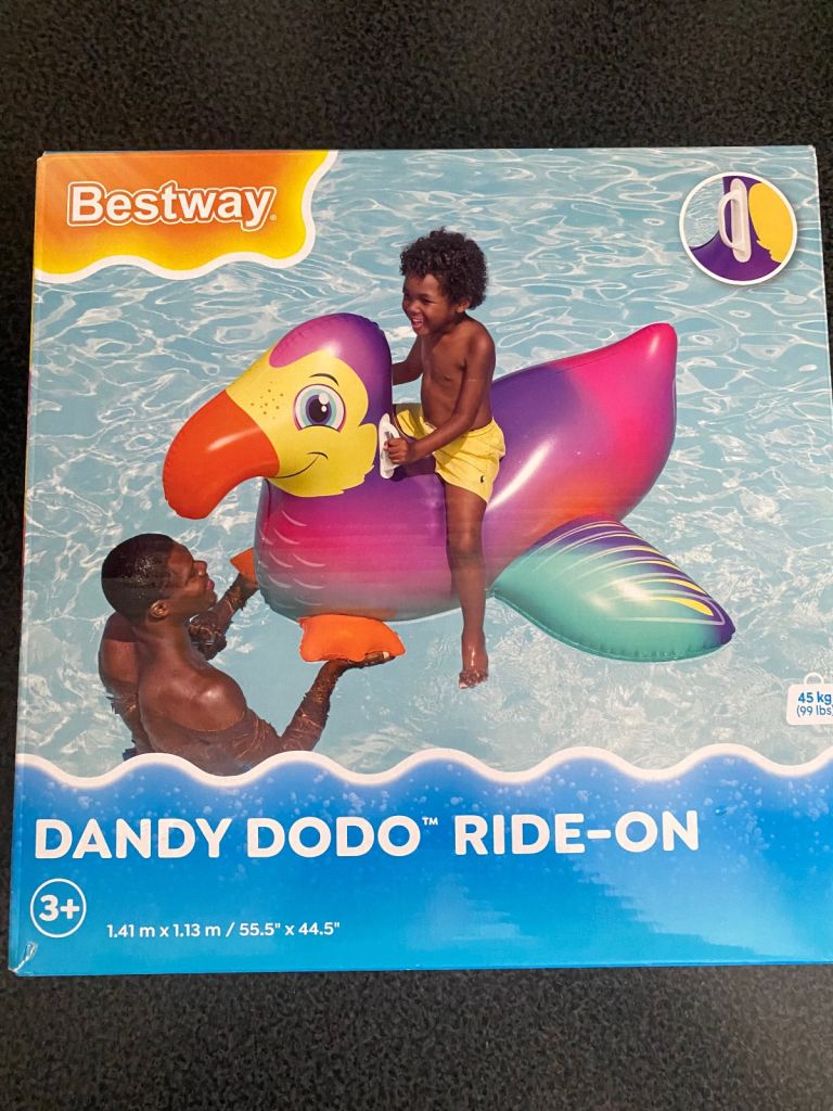 Swimming pool ride on