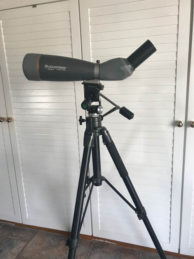 CELESTRON REGAL 100F-ED ANGLED SPOTTING SCOPE