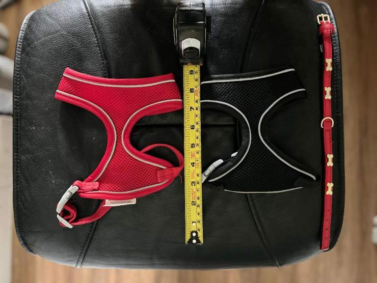 Small Pet Harnesses (Red, Black, Sailboat, Blue Mesh)