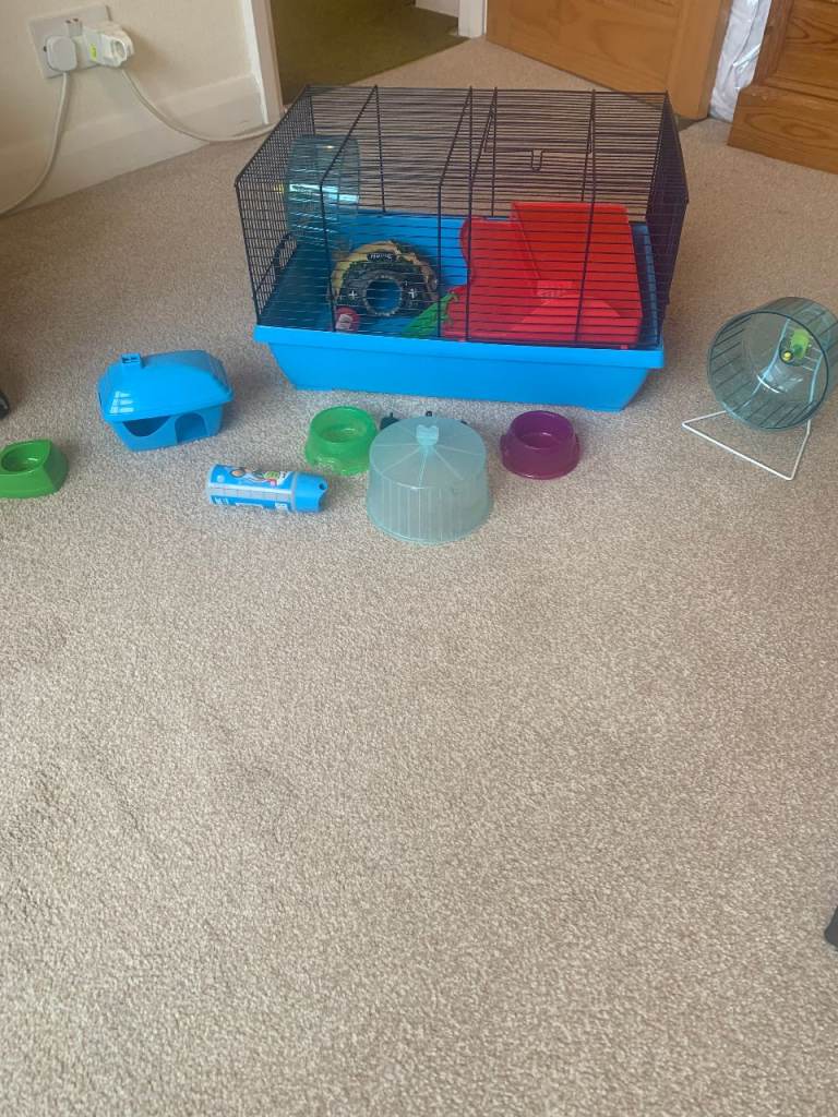 Hamster cage 