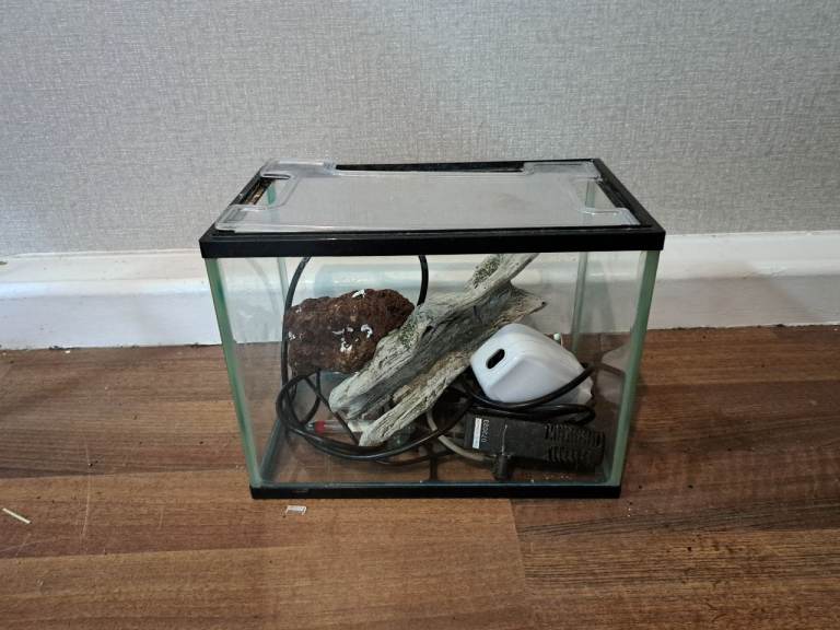 Small Glass Aquarium with Decorations and Pump