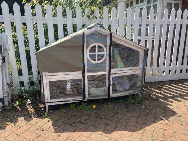 Pets at Home Bluebell Hutch and cover