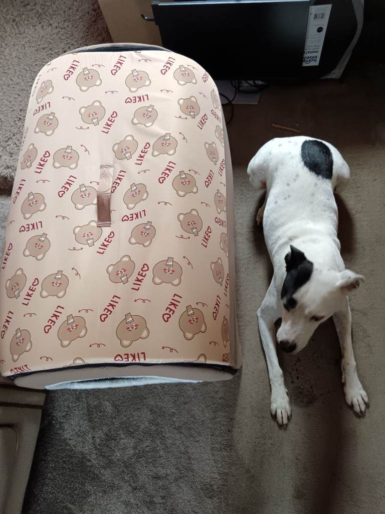 XL dog bed