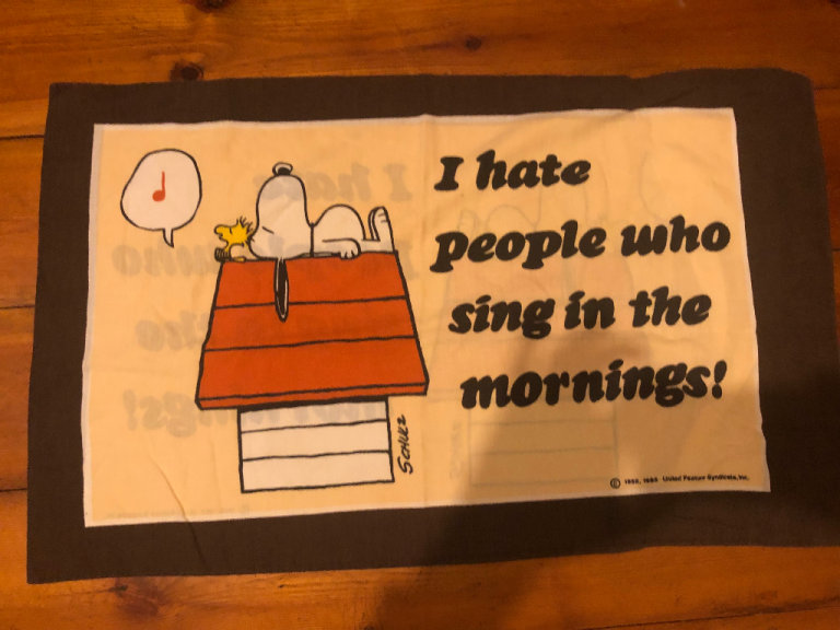 1980’s Snoopy Pillowcase