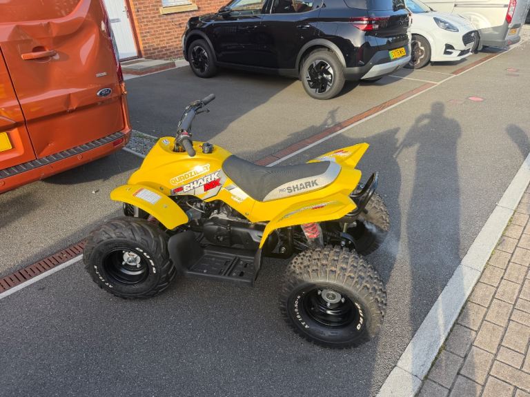Qaudzilla 100cc