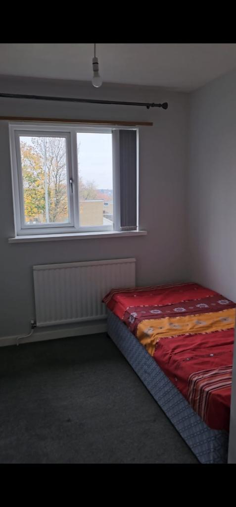 Cosy single bedroom available for rent