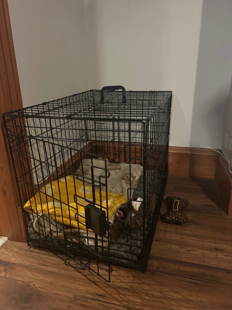Dog cage 