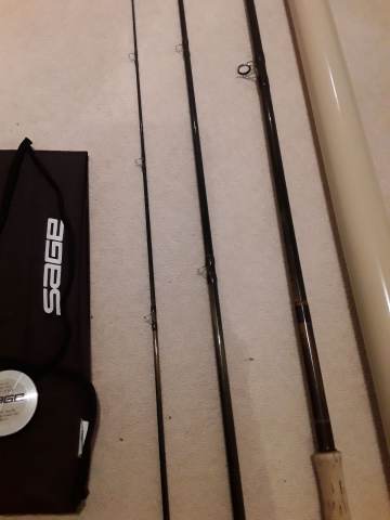Sage 10160 GFL Graphite III Salmon Fly Rod #10, £200.00 for Sale