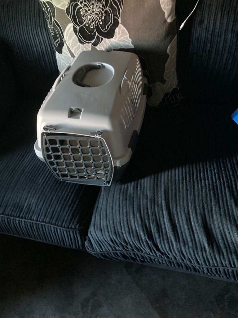 cat carrier 