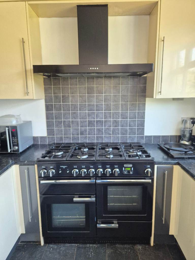 Rangemaster Professional+ 110 Dual Fuel + Matching 110 Flat Hood (Black )