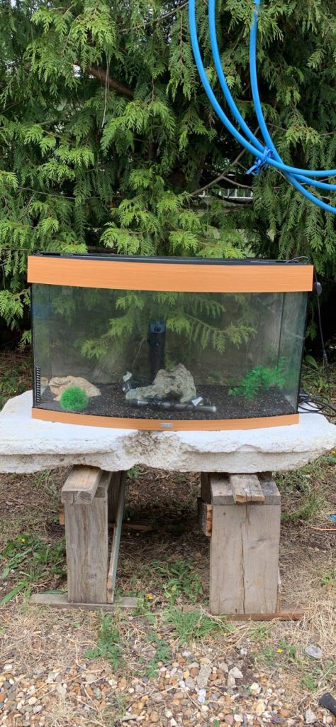 Fish tank 