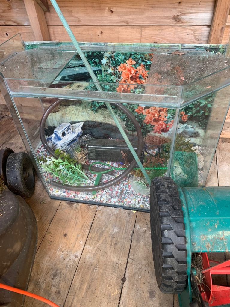 Fish tank for sale