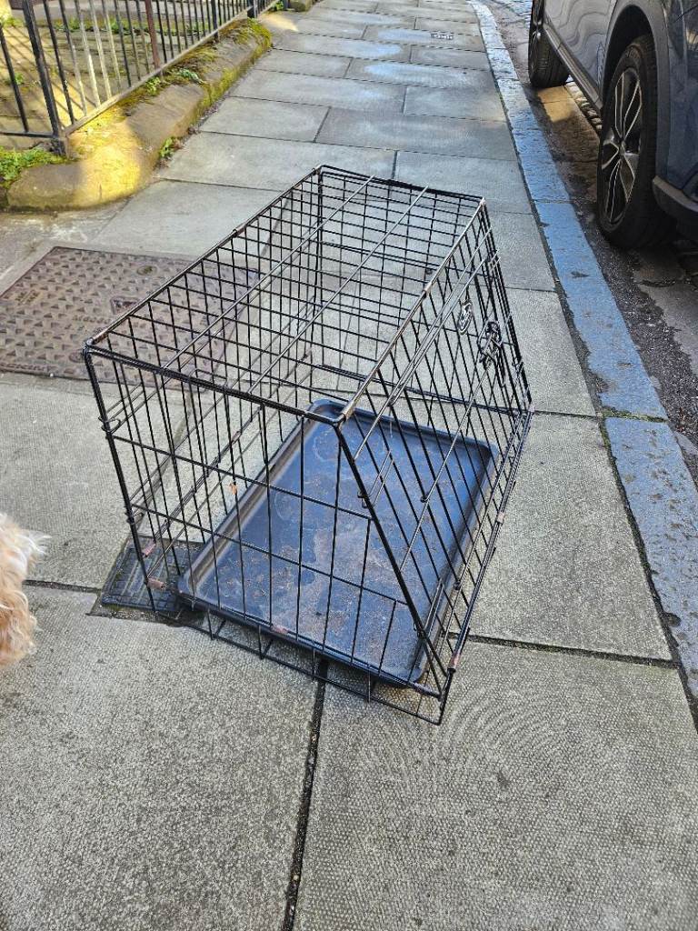 Dog crate for car 