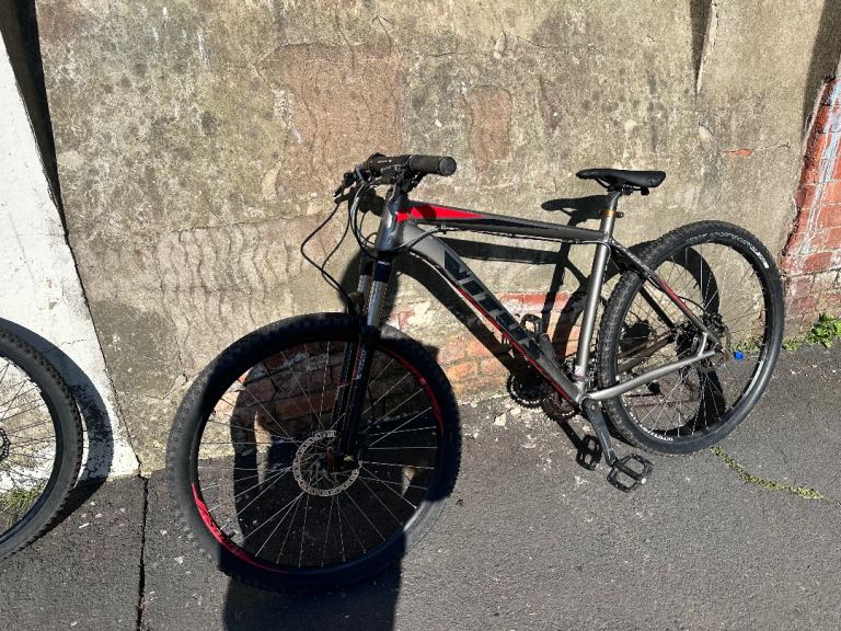 Virus large mountain bike