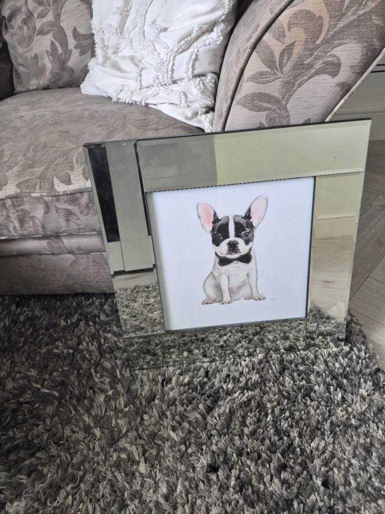 Mirrored Picture Frame with French Bulldog Print – Good Condition