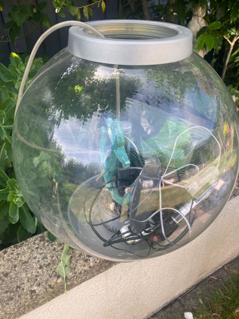 Biorb fish tank with accessories 