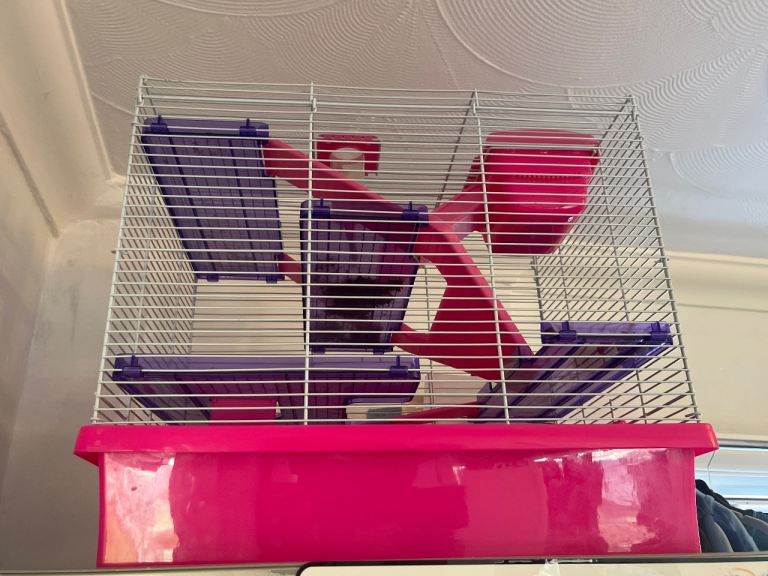 Hamster cage 