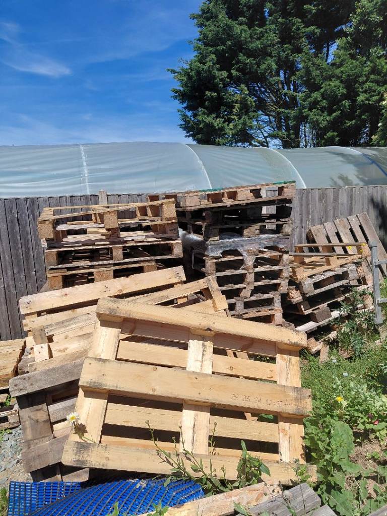 Free pallets and old bench 