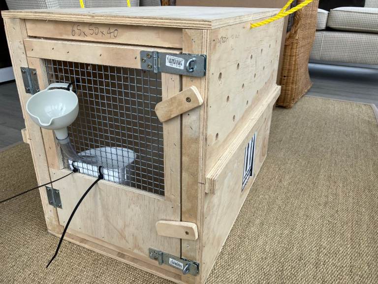 Sturdy Cat/Dog Carry Crate
