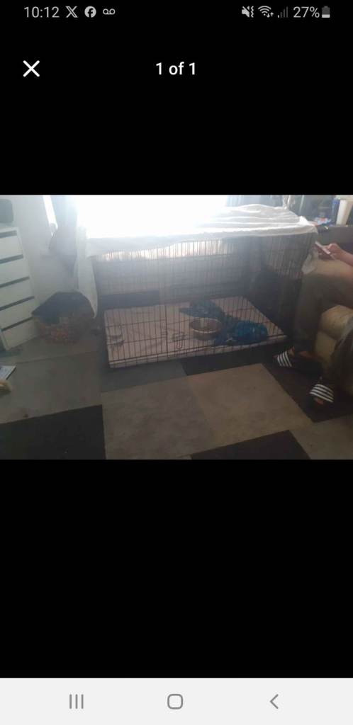 Xl dog crate 