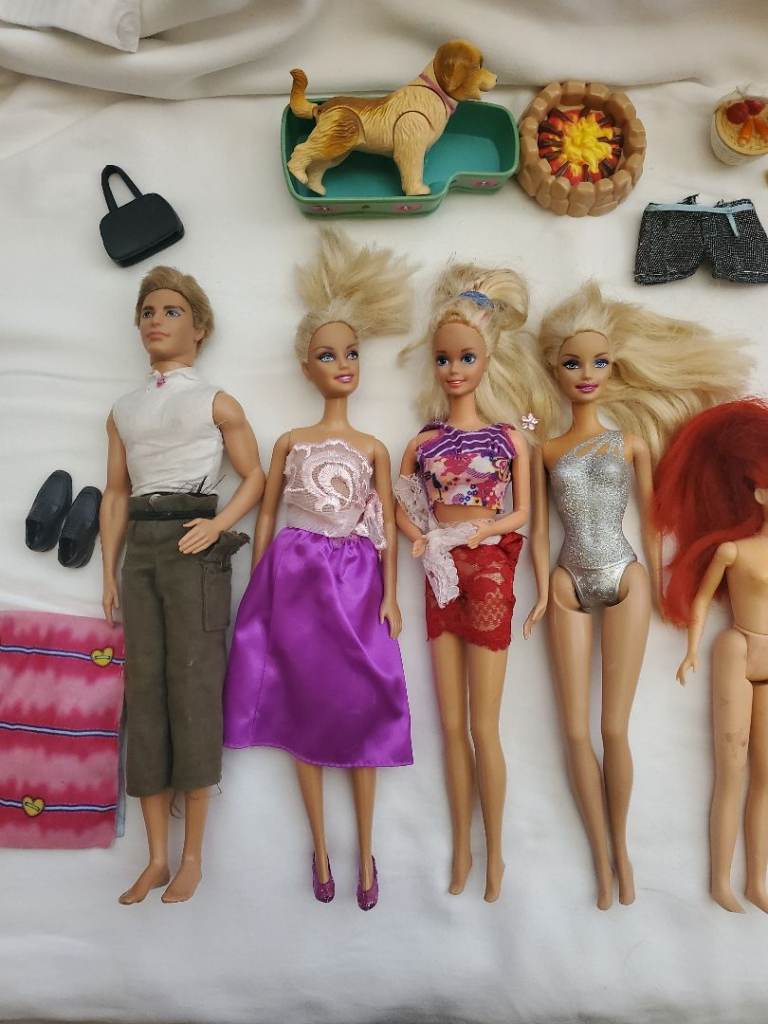 Selection of Barbies, dog,  clothes and accessories 