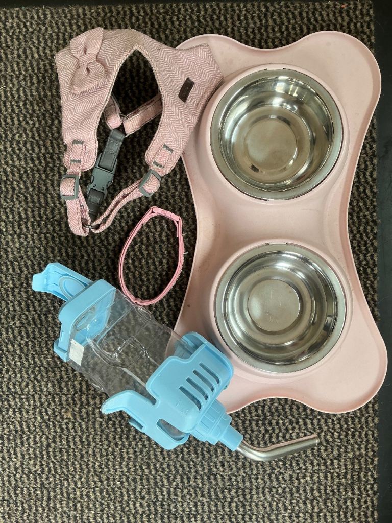 FREE small dog items 