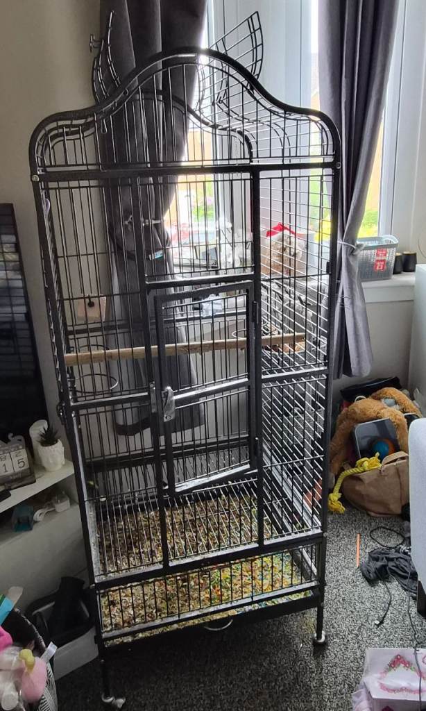 Parrot cage 