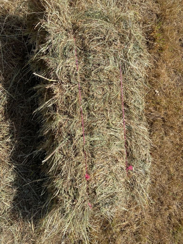 June 25th 26 hay for sale 