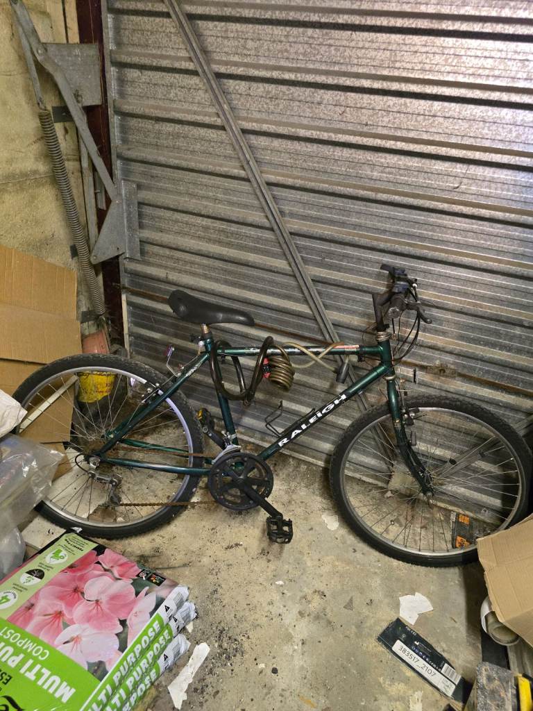 Raleigh Genesis Mens Bike Green Bicycle