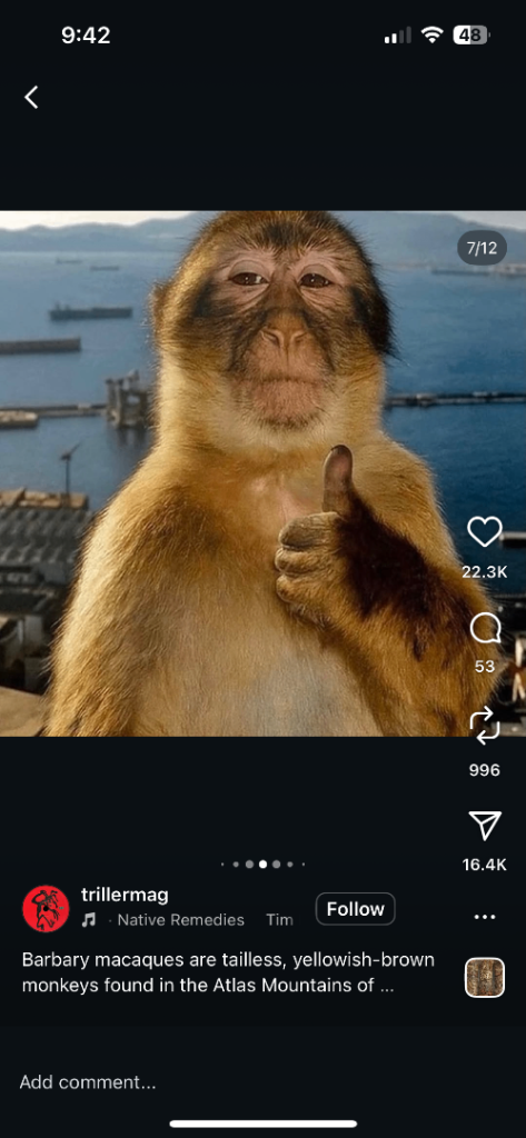 image for I need Milwaukee power tools for work