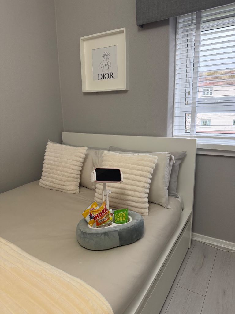 Snack/phone movie tray 