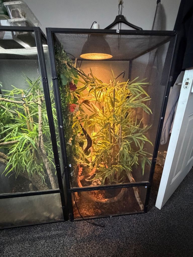 Chameleon cage