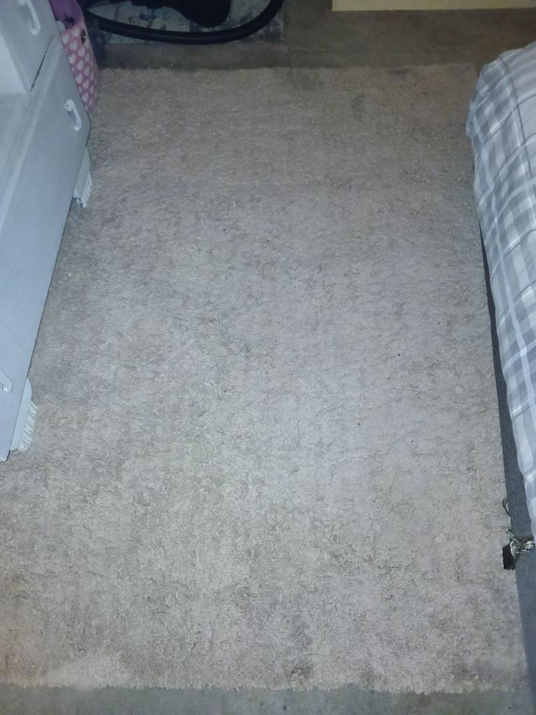 image for Very light gree cream rug