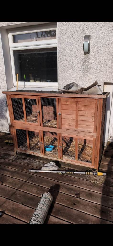 Rabbit hutch 