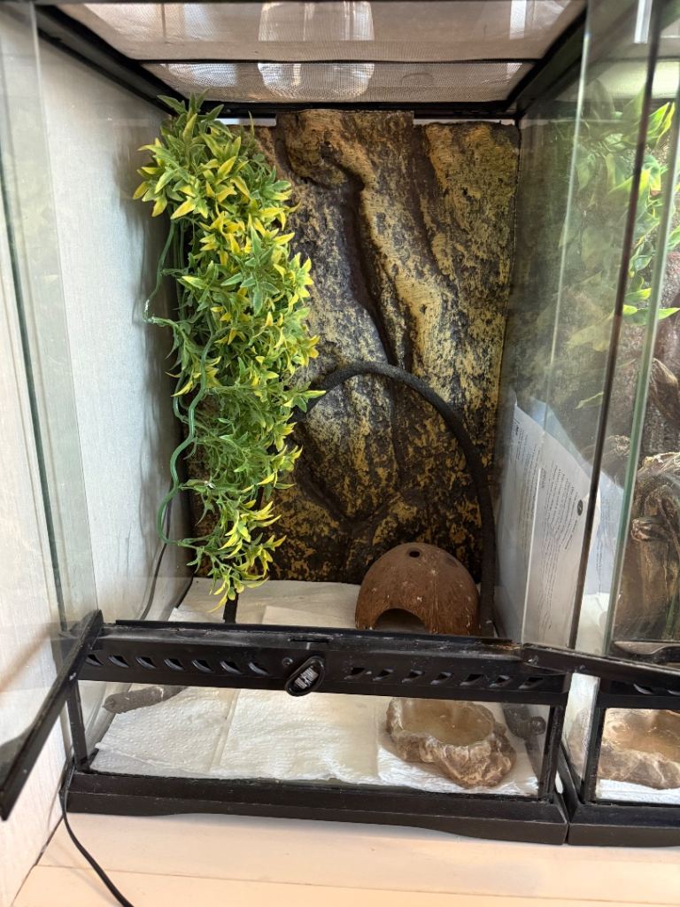 Exo terra reptile tank 