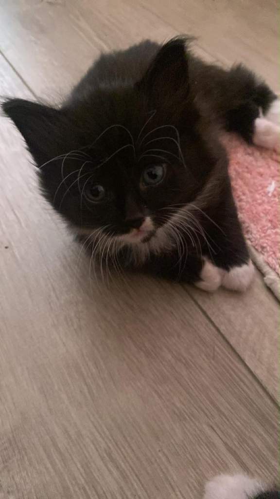 3 all black 3 Black and white