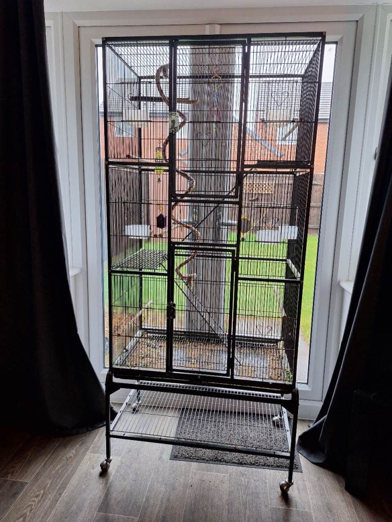 Large budgie cage 