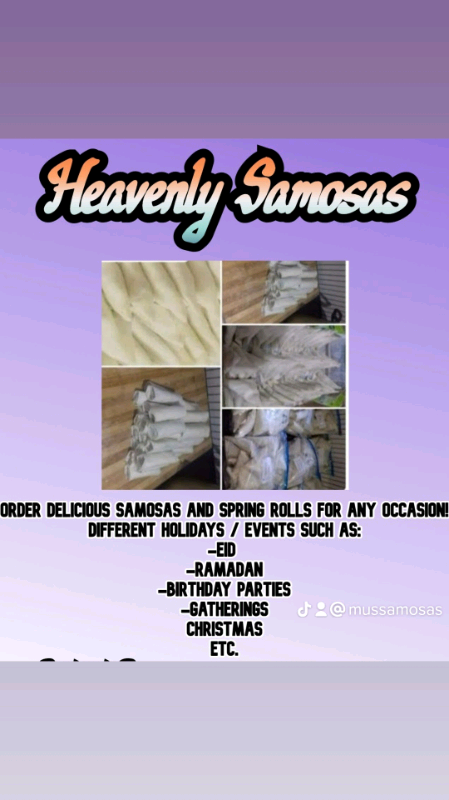 Heavenly Samosas and Spring rolls 