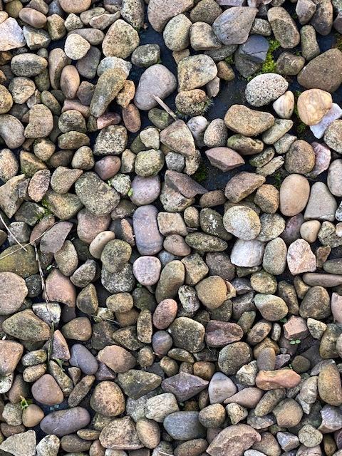 Garden Shingle Free to collect