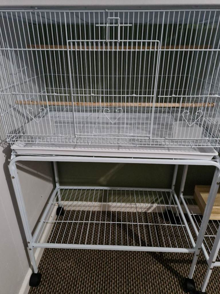 Bird cage & stand (Dereham)