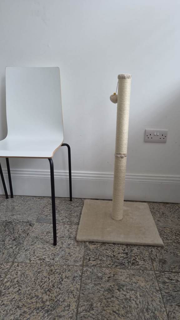 Cat Scratching Post (Never Used)
