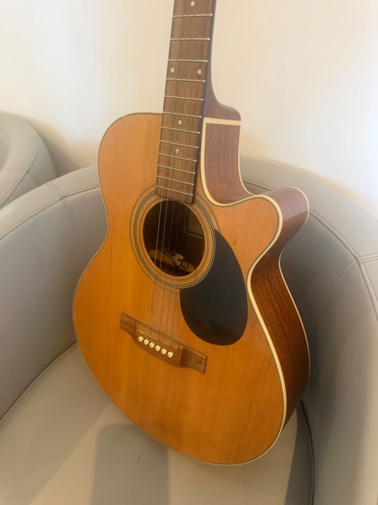 Freshman semi acoustic guitar 