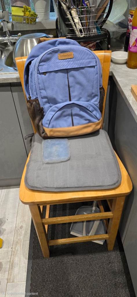 Timberland backpack rucksack new